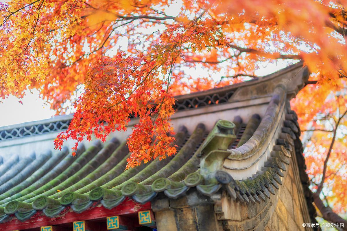 青岛旅游免门票景区有哪些,青岛旅游攻略最坑人的景点