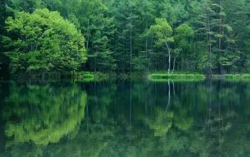 2022年壬寅年五运六气详解与运用,2022年壬寅年虎年还有几个季度