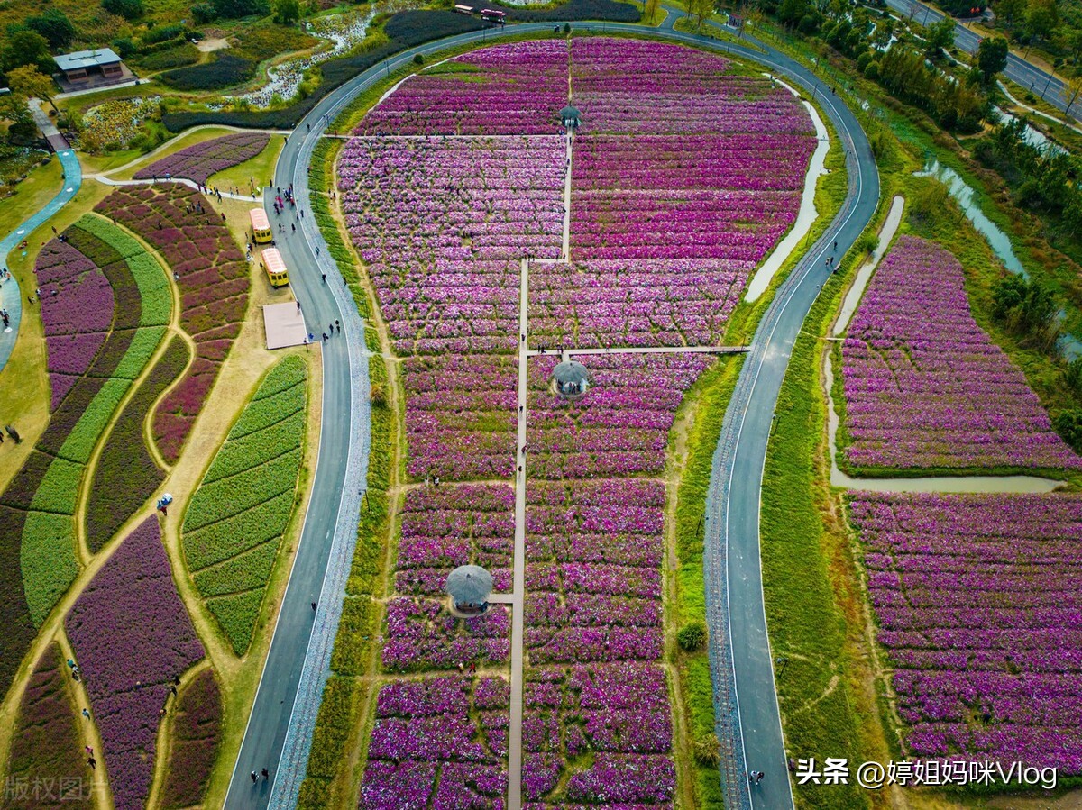 杭州径山花海景区,2月份杭州小众旅游攻略