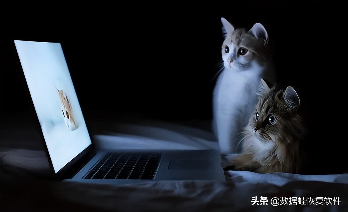 误删文件找回没有内容怎么处理,误删的文件夹不在回收站如何找回