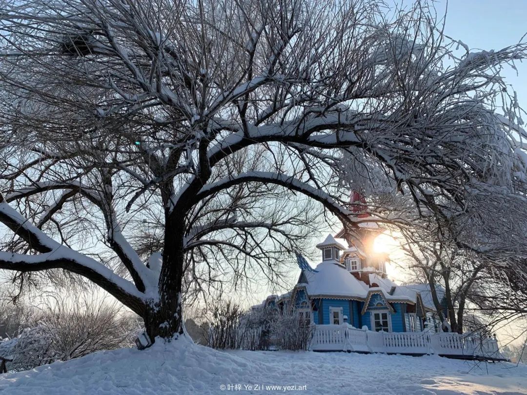 小米拍照和苹果拍照哪个好,苹果拍照和小米拍照对比