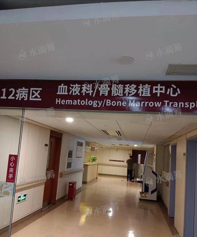 女孩患白血病急寻母亲配型,白血病女孩骨髓已配型成功