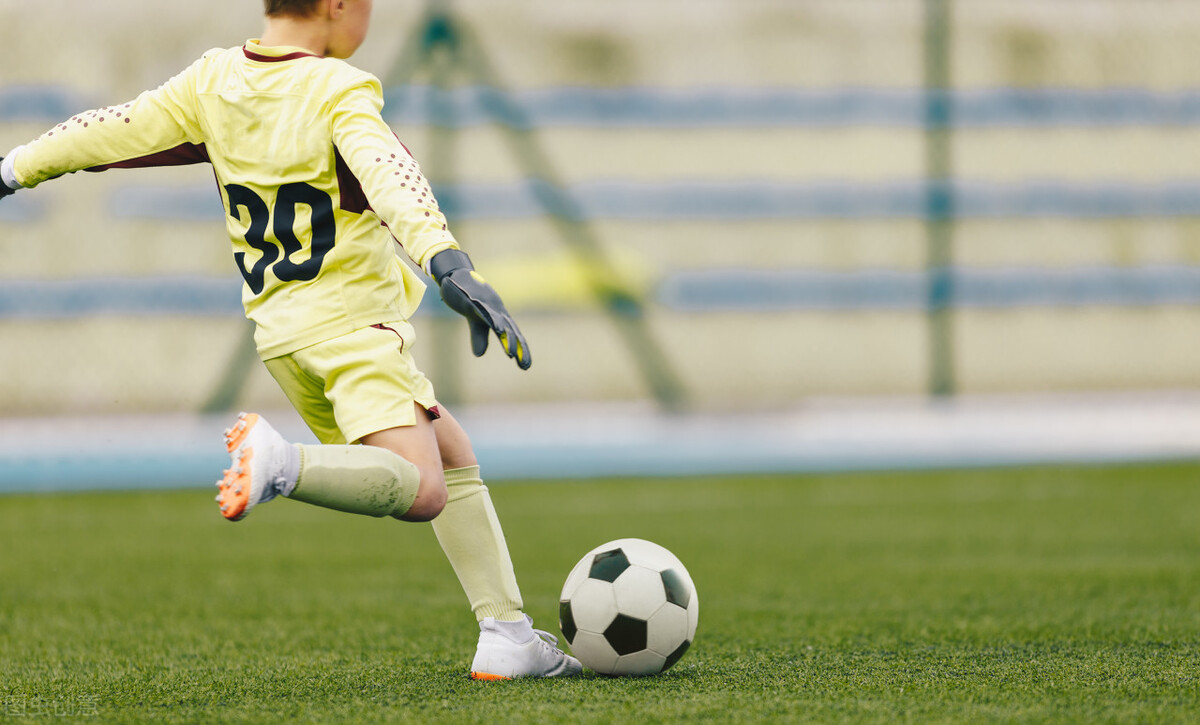 绿色草地足球场,绿色足球场