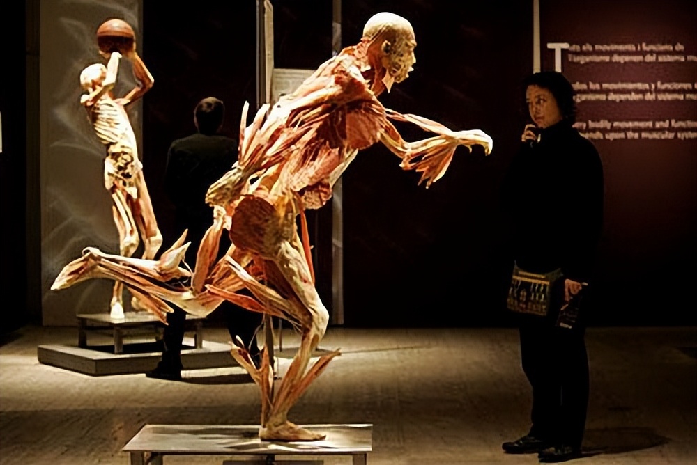 煮人骨，剔腐肉，一年处理50具遗体，直面死亡的人体标本制作师