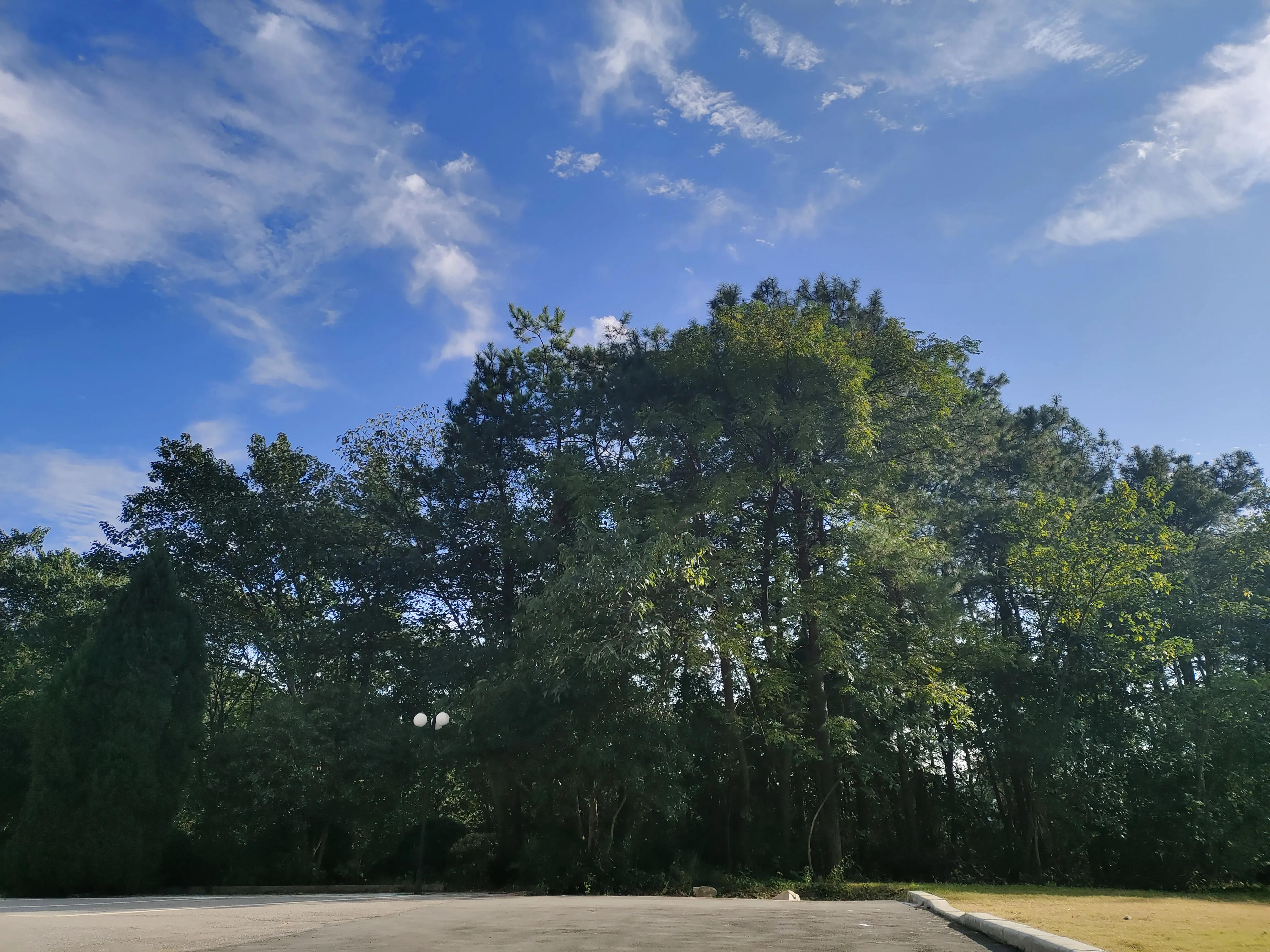 信阳学院怎么样国家认可吗,信阳学院算不算好学校