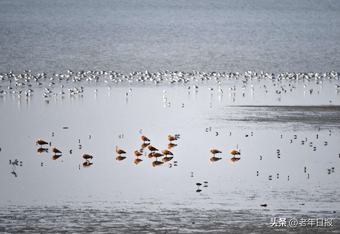 跑步出汗吹风受凉属于哪种感冒,经常出汗经常受凉感冒