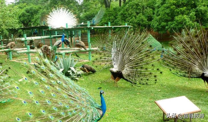 昆明五华区有哪些村子,昆明五华区有哪些高校