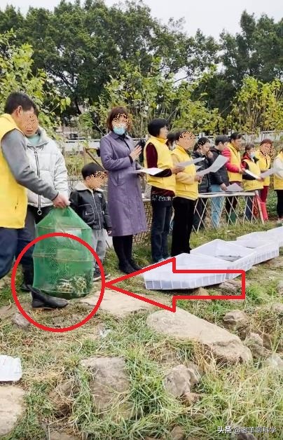 钓鱼遇上放生的人,钓鱼遇放生人视频