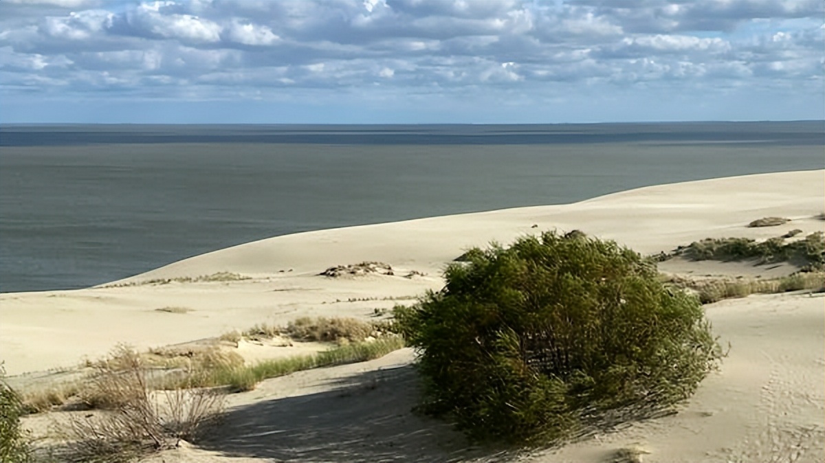 十首超好听的美文歌曲,最流行的歌曲美文