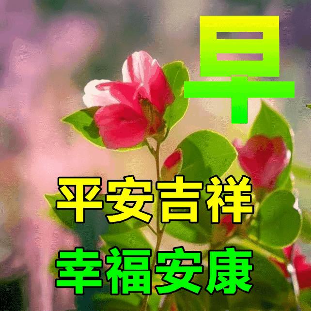 2023年06月02日星期五农历:癸卯年【兔年】四月十五第22周