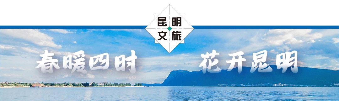 郑和西洋船模型,郑和宝船船模