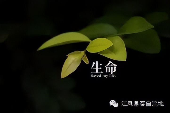 城中村的回忆,城中村的鲜活故事