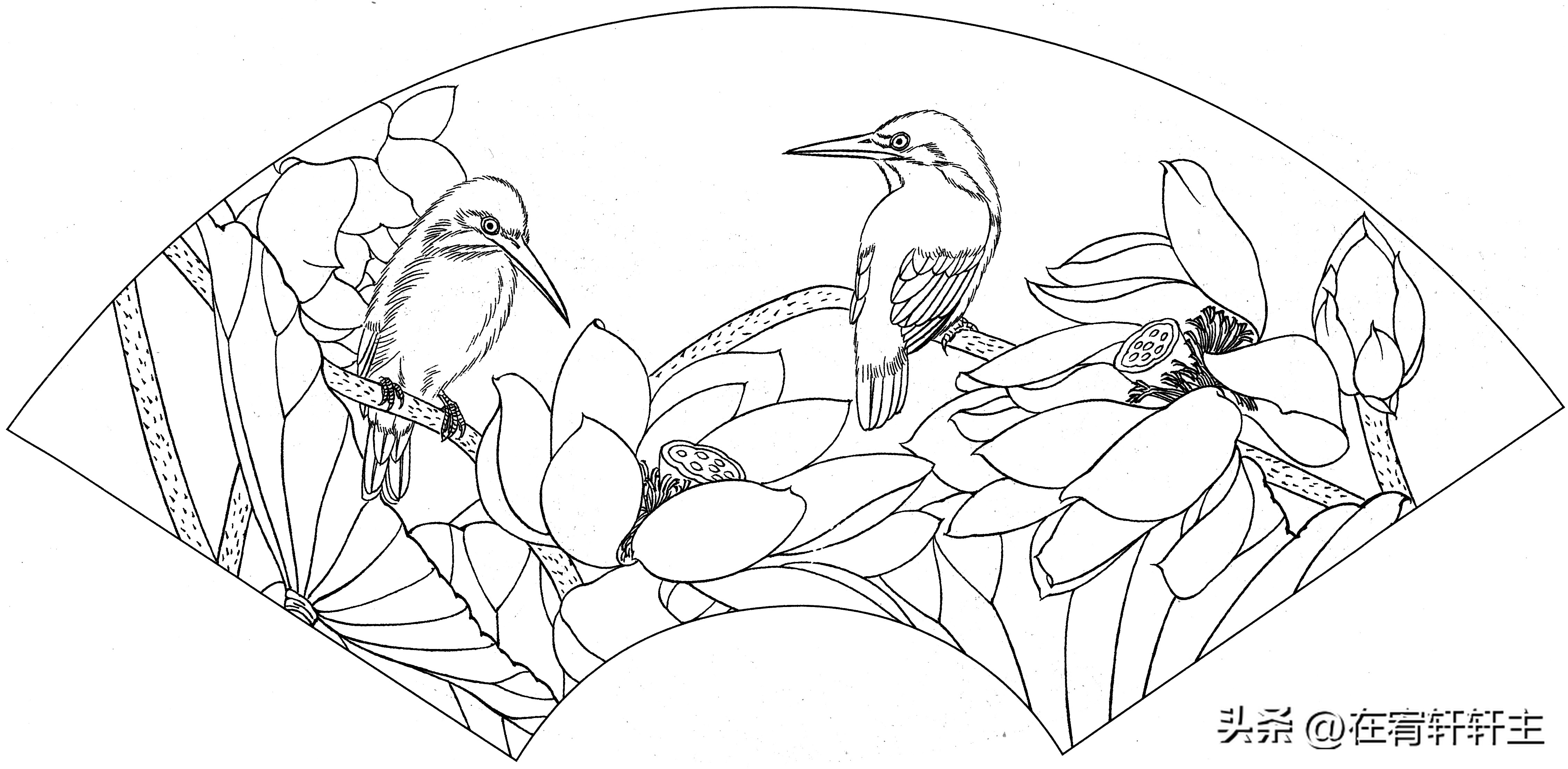 工笔白描祥云图案扇面,工笔扇面葡萄白描图片