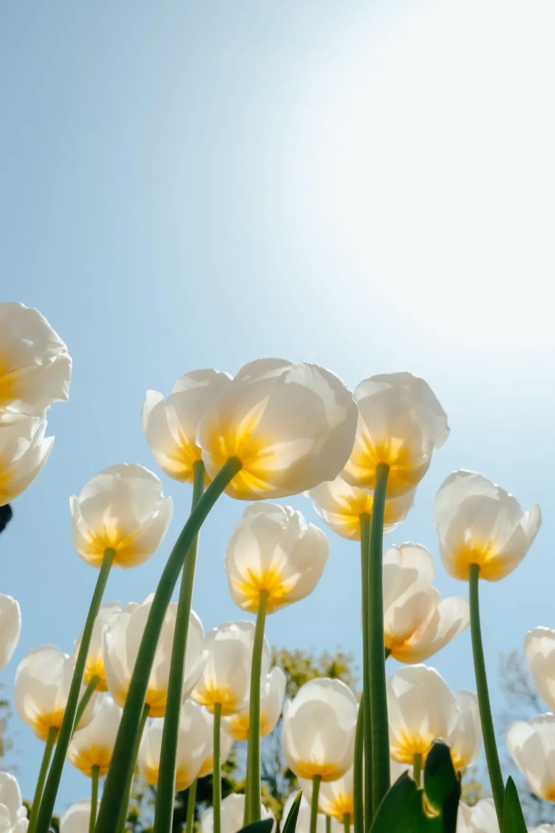 当总监助理有多累,如何做一个合格的总监助理