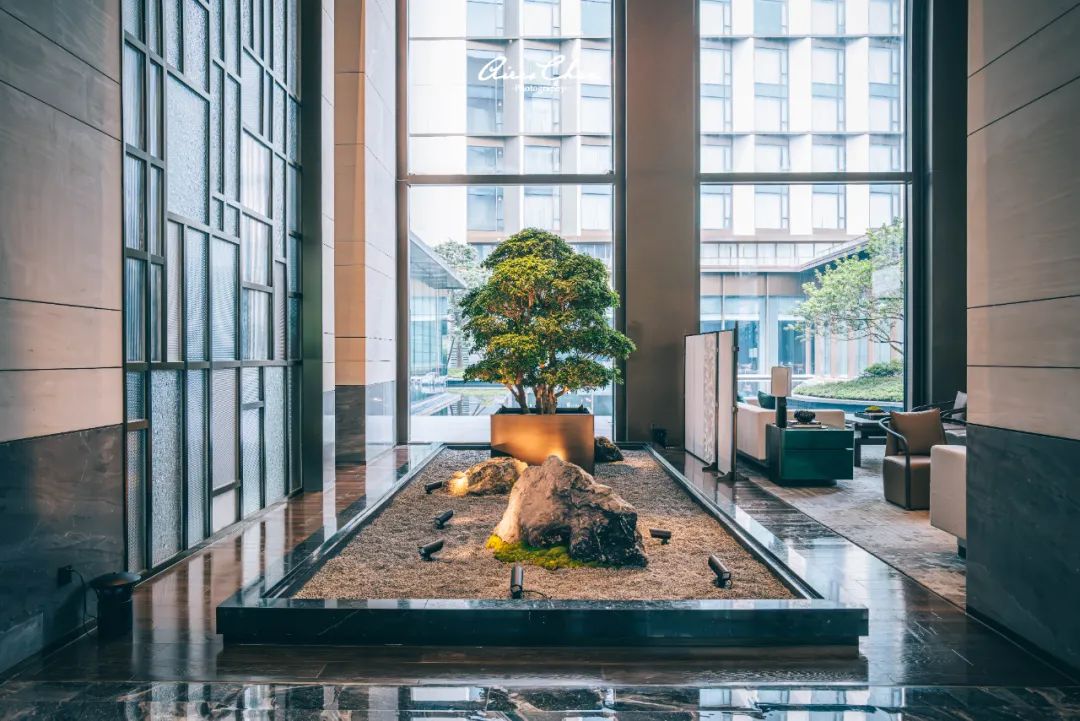 广东最新开业万豪酒店,新开业万豪酒店