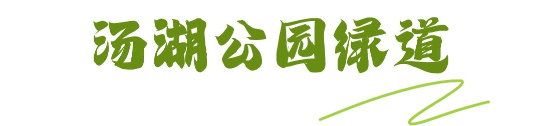 淘金山骑行绿道和东湖骑行绿道,周末绿道骑行一路都是美景