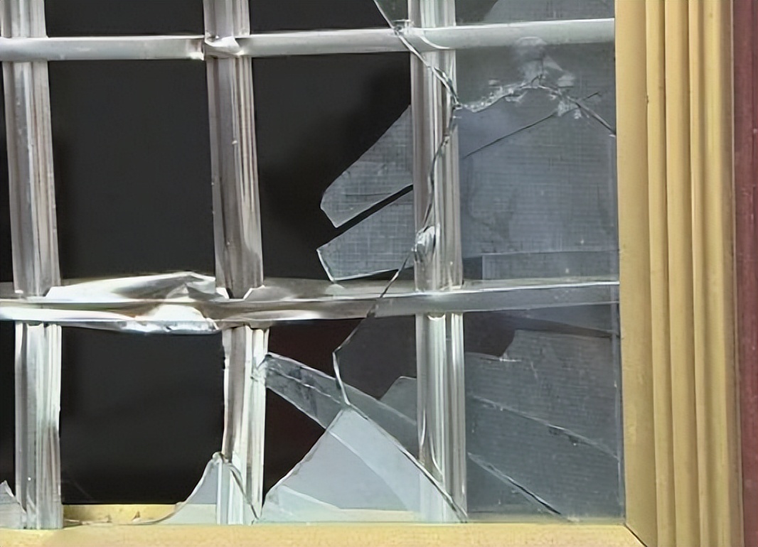 女总裁花50万生下孩子,26岁女总裁生了五国混血