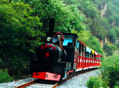 宠物托运包车攻略,宠物托运黄山