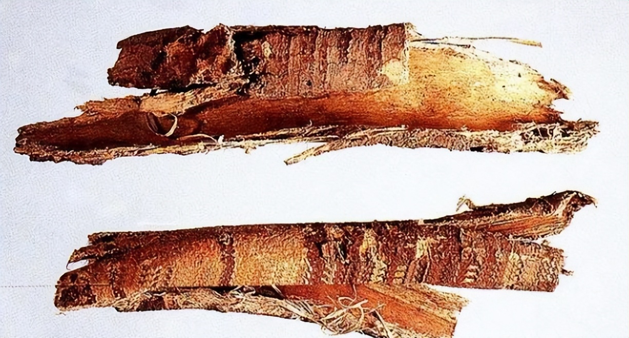 如何挑选桑白皮,带你识别中草药