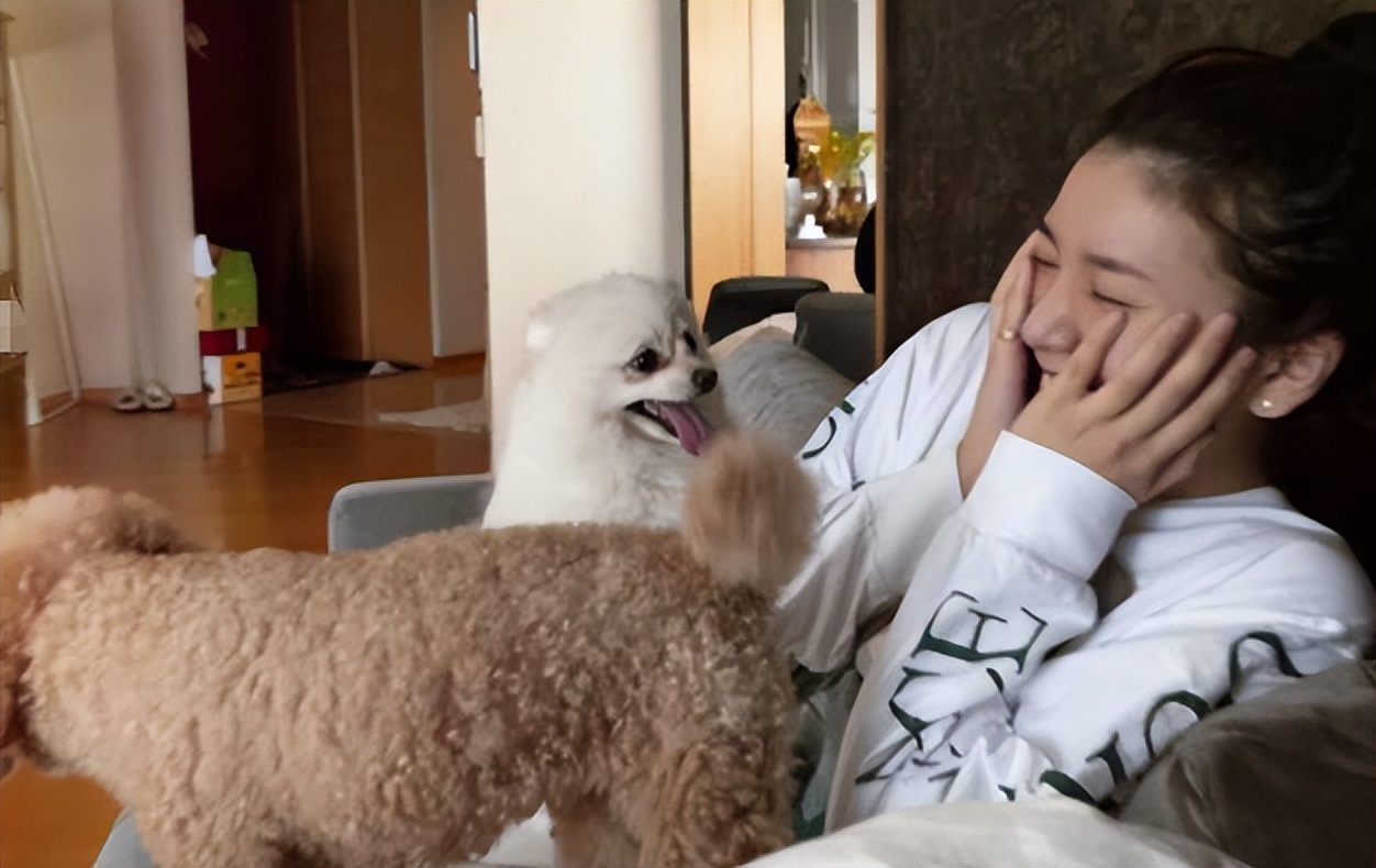 2022年，日本最丑陋的“性丑闻”，细扒整个事件，我一言难尽