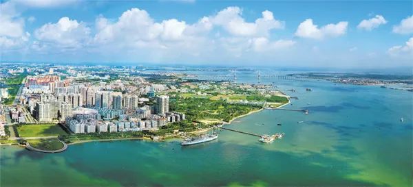 湛江菠萝海,湛江菠萝的海全景