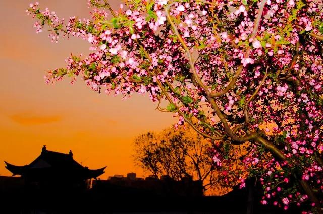 关于春风的诗100首,现代原创春天的诗