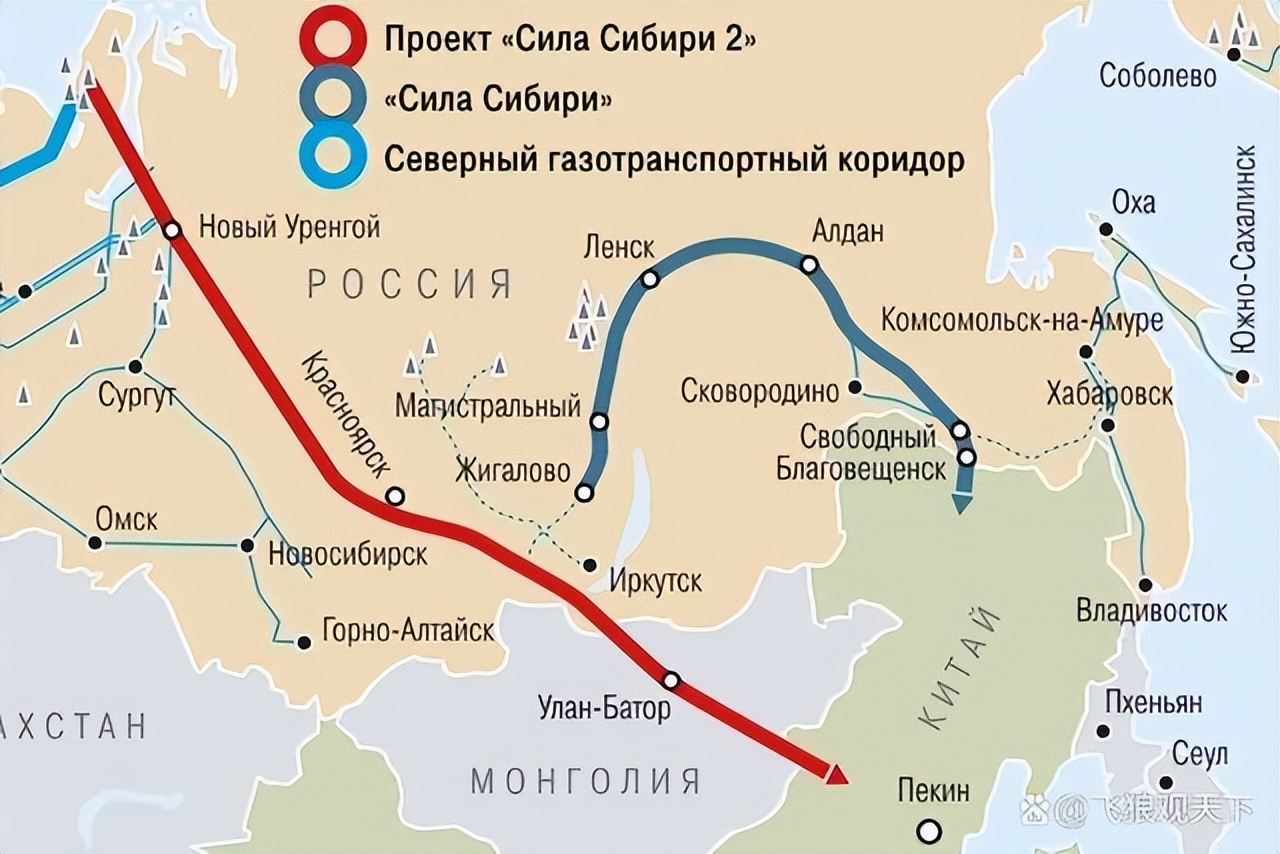 中俄天然气普京,普京谈俄罗斯天然气