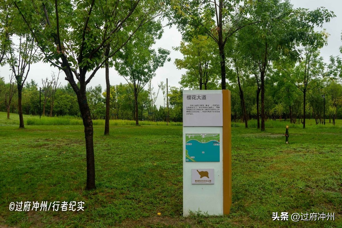 郑州放风筝哪里好,郑州南三环放风筝