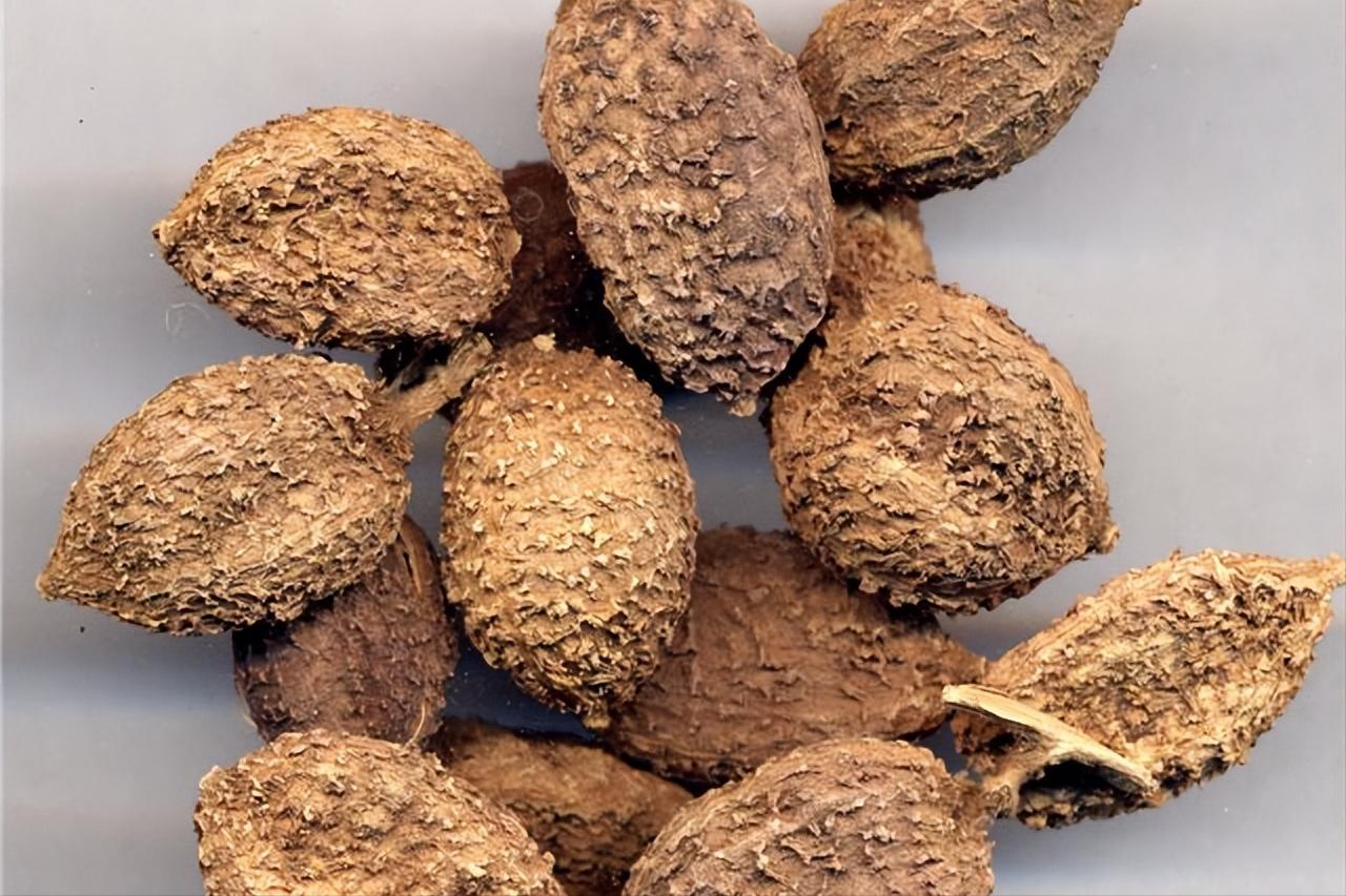 管道堵塞、久备不孕，可能是肝失疏泄，一张方子，疏肝气，通管道