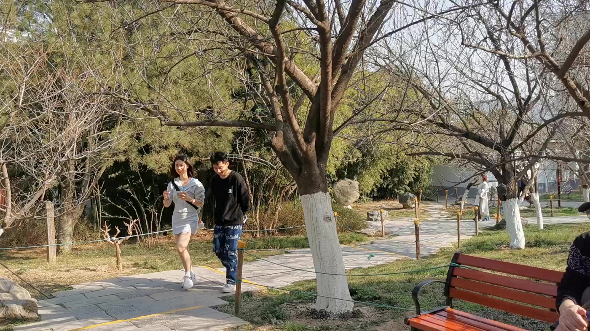 在西安玩五天去哪玩,在西安旅游五天