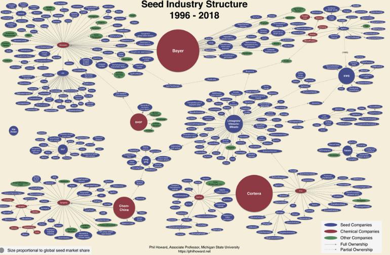 一颗普通水果竟被卖到一亿,市场价10元一斤的蔬菜