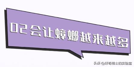 家里踩死的蟑螂，为啥一会儿就自动消失了？