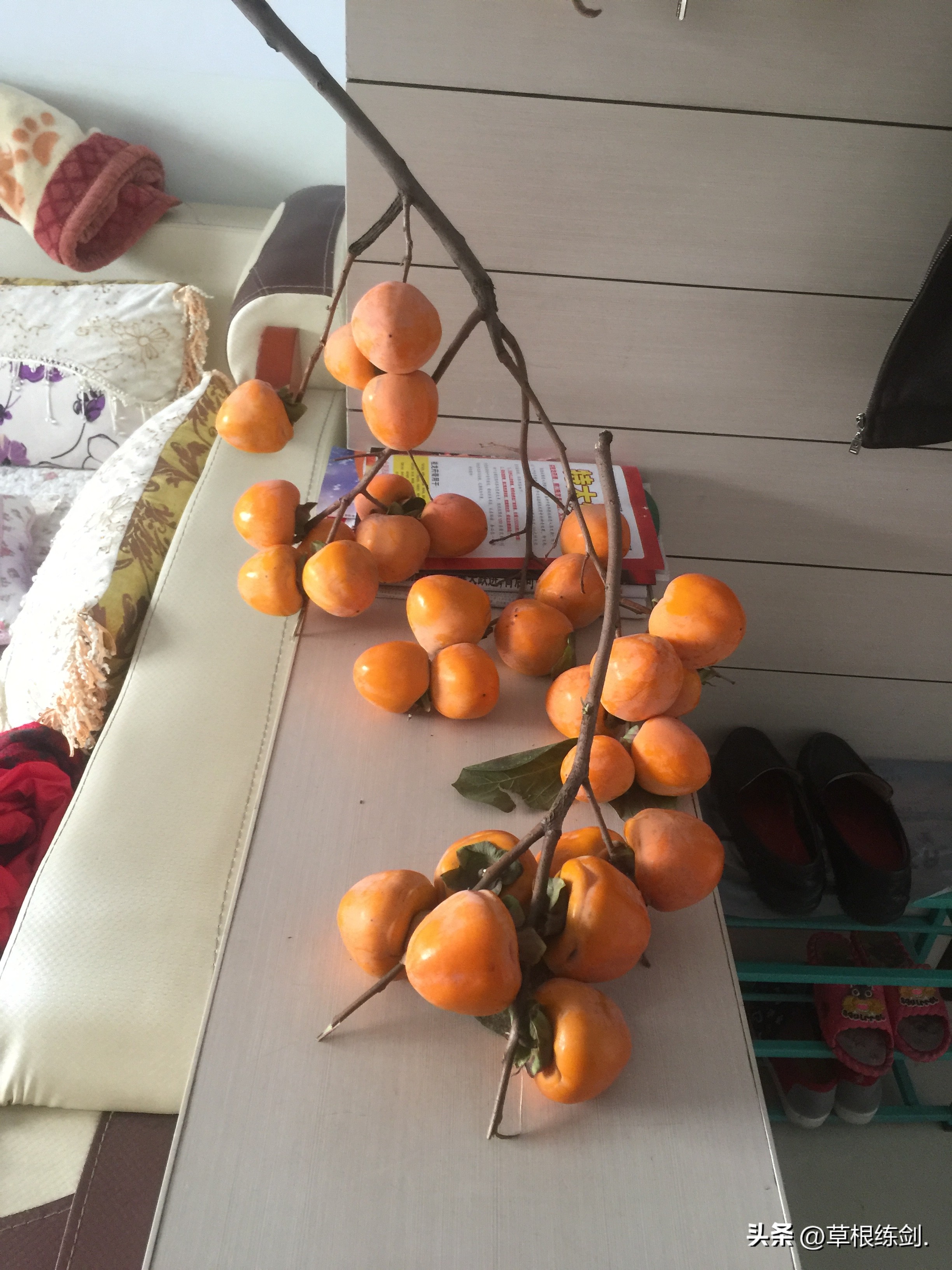 网易新浪头条及部分网络平台对纪实自传体回忆录《草根春秋》评论