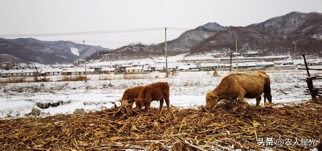 天气预报：今年的年景如何？正月十八的天气能预兆？农谚咋说的