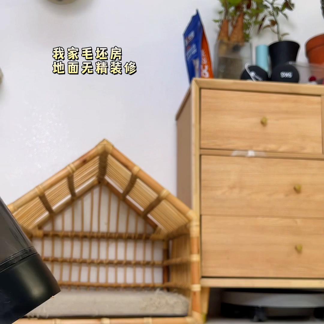 养猫好物大合集,养猫好物大全