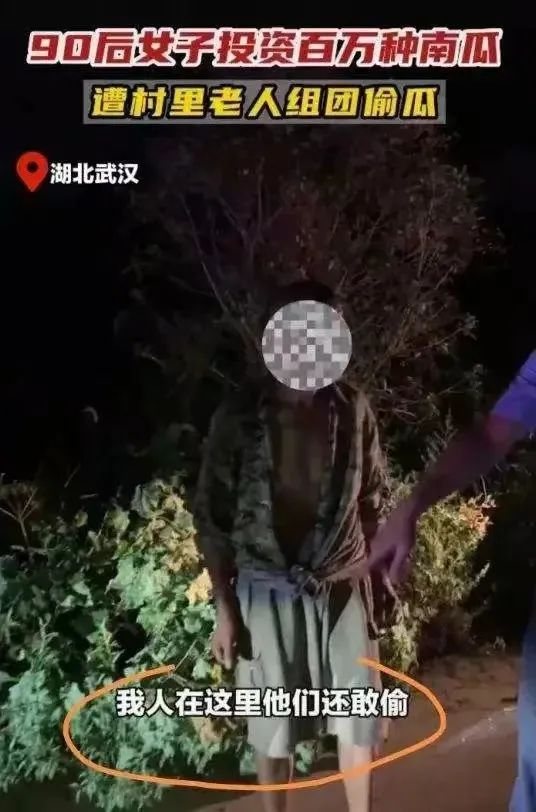 女大学生回乡创业被老人偷,大学生回农村创业被老人偷