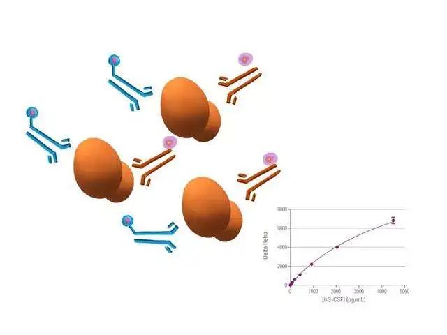 揭秘卵巢保养,amh能决定卵巢年龄吗
