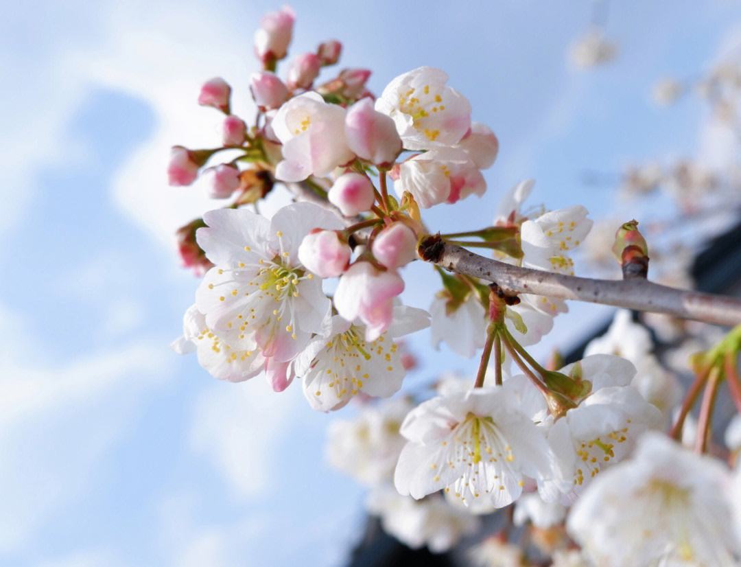 李贺：“奇”“诡”“冷”“艳”的另类诗人