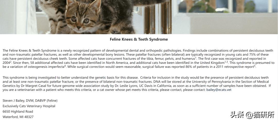 猫咪的腿瘸了可以用什么方法治疗,猫咪没有受伤但是瘸吃什么药