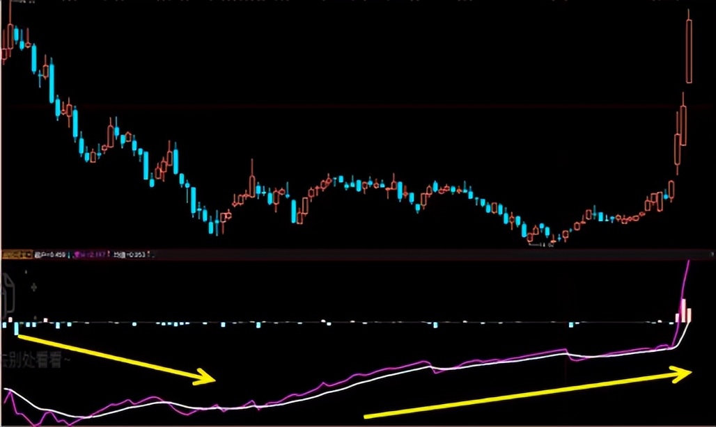 十大牛股基因详细讲解,股票基因在强势股挖掘中的运用
