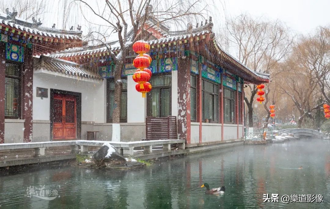 济南的冬天导语,济南的冬天满眼荒凉