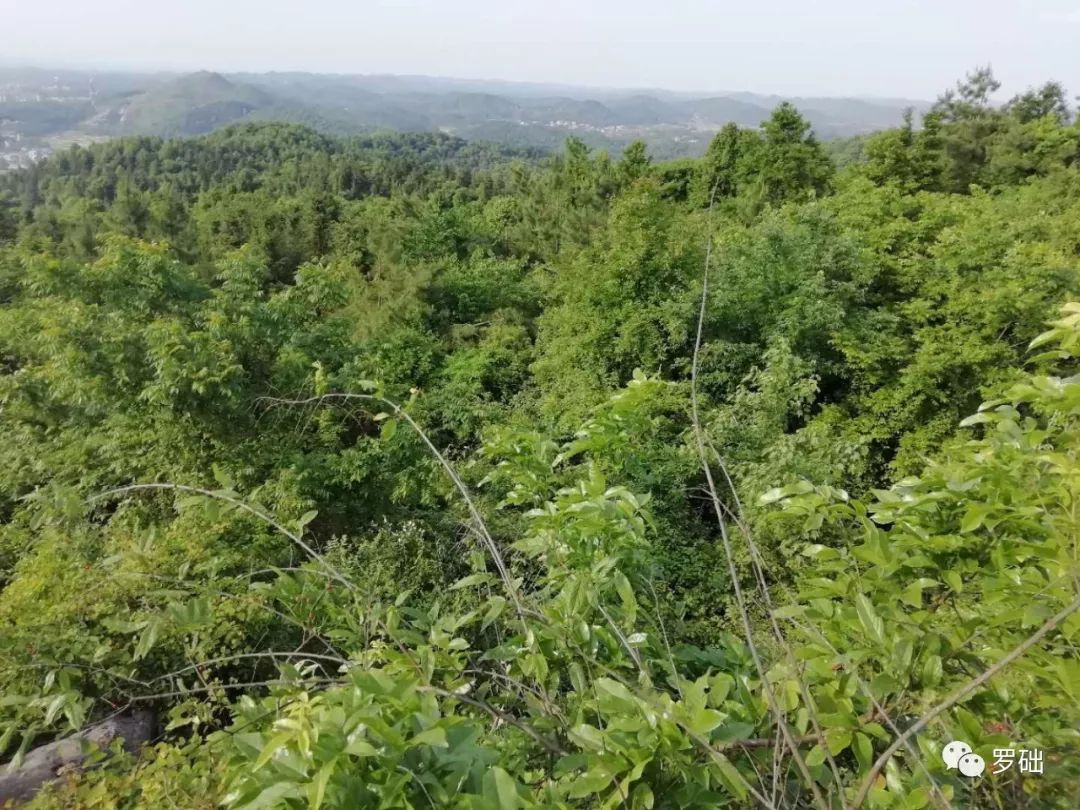 鐭虫湪灞卞,鐭虫湪瀵ㄥソ椋庡厜