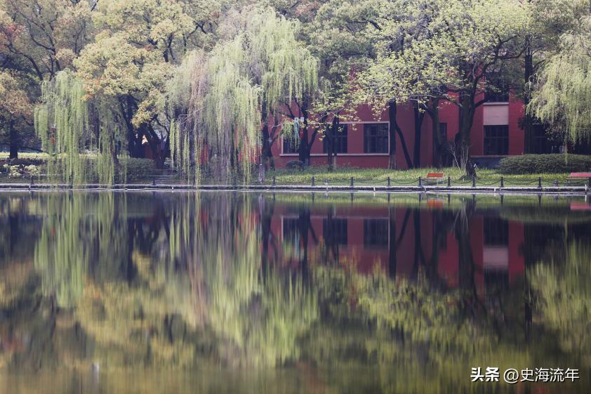 浙江大学排名最新排行榜,浙江省大学收入排名