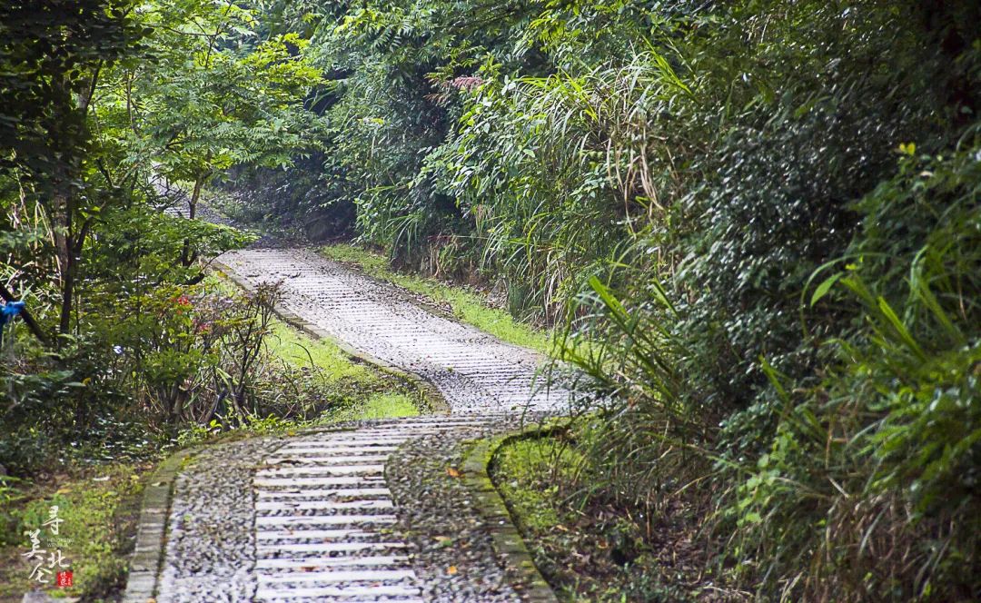北仑徒步爬山推荐,北仑冷门爬山路线