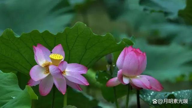 外汇投资有哪些技巧,外汇投资的方式是什么