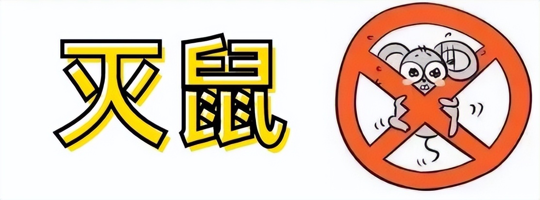 家庭除四害注意事项,夏天的四害怎么消灭