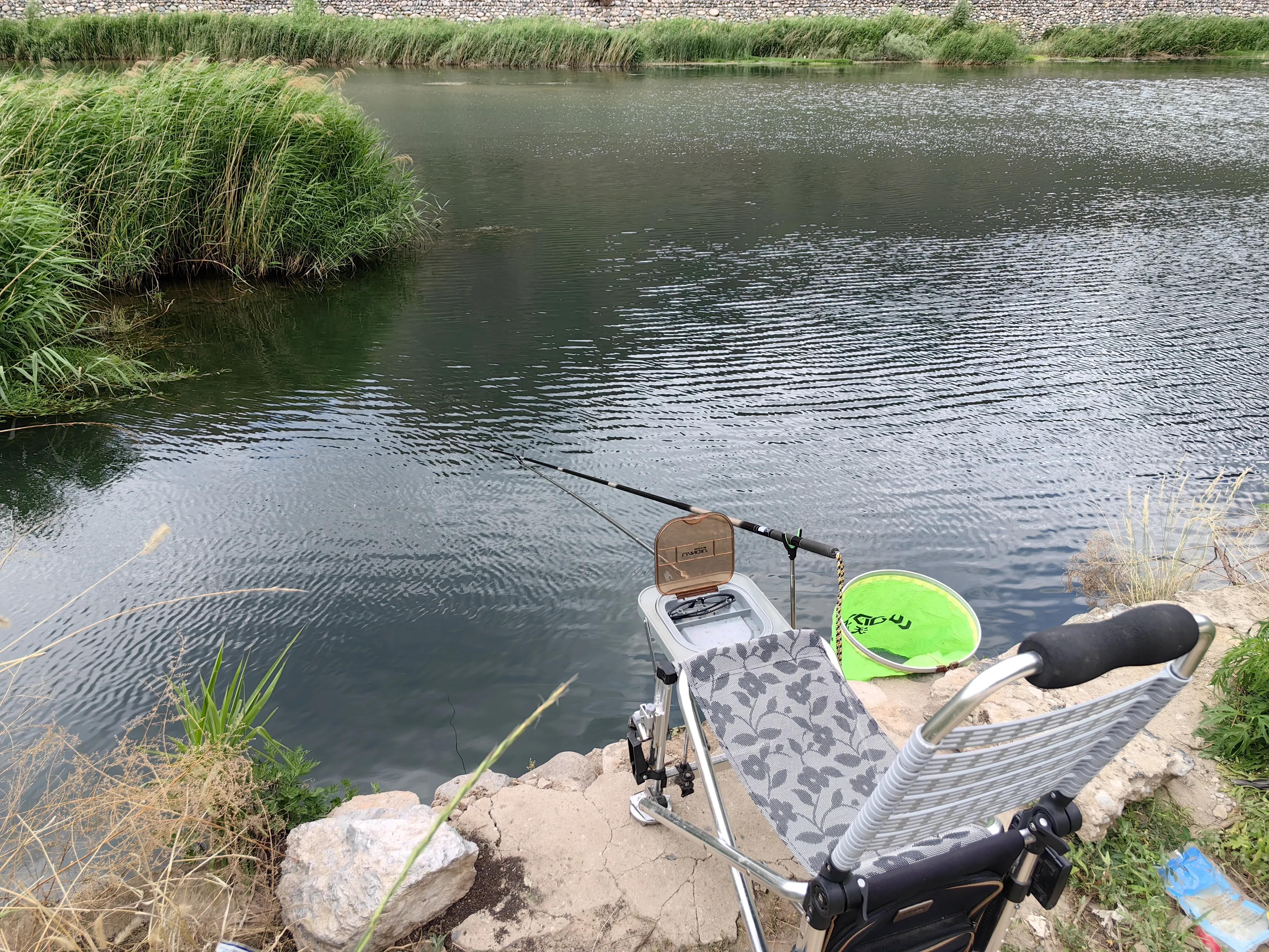 明大大原声,明大大记录生活