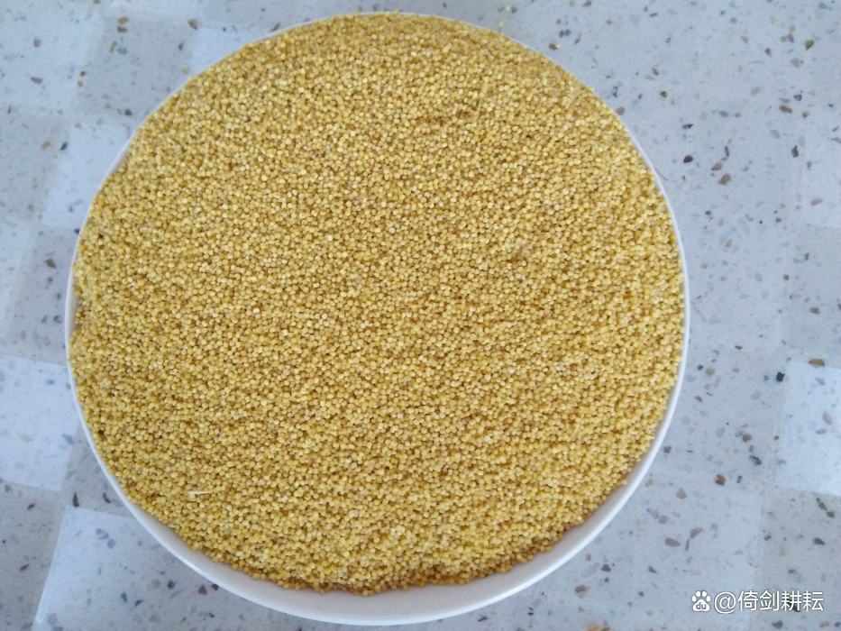 五谷杂粮小米作用,五谷之首唯小米美味可口又营养