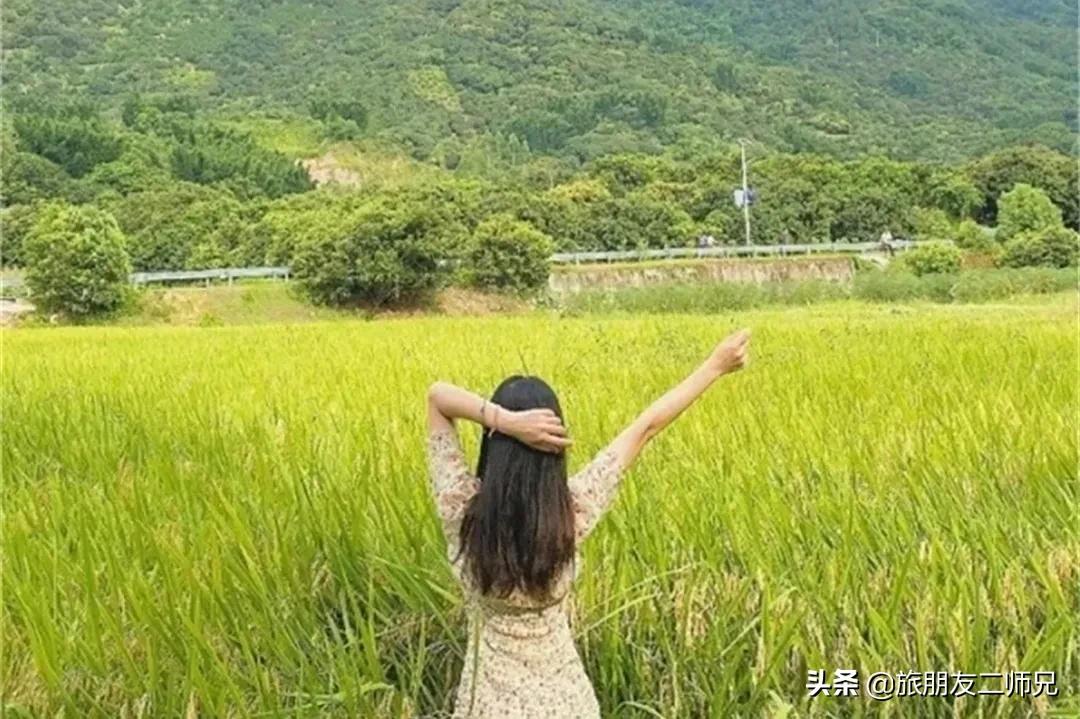 南平静修小镇凤溪玩水,南平静修小镇凤溪玩水区订票