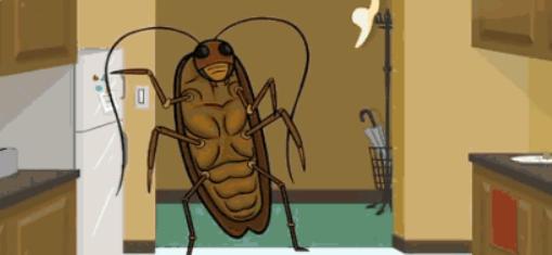 自制蟑螂克星轻松消灭家里蟑螂,蟑螂最怕的消灭方法